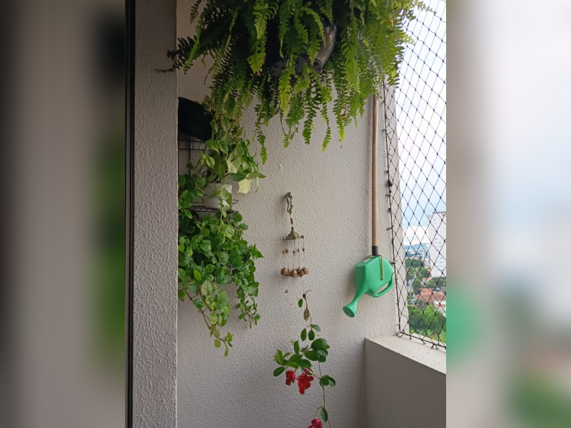 Apartamento à venda Nova Petrópolis com 67m² e 3 quartos por R$ 340.000 - 1000103379.jpg