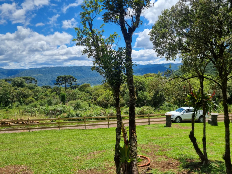 Terreno à venda Centro com 1335m² e 0 quartos por R$ 187.000 - img-20260325-wa0095.jpg