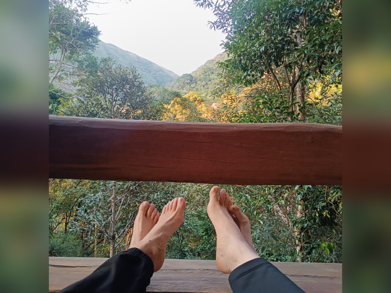 Sítio à venda Fazenda Inglesa com 170m² e 5 quartos por R$ 1.950.000 - 1000400746.jpg