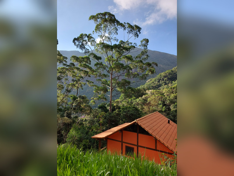 Sítio à venda Fazenda Inglesa com 170m² e 5 quartos por R$ 1.950.000 - 1000400752.jpg