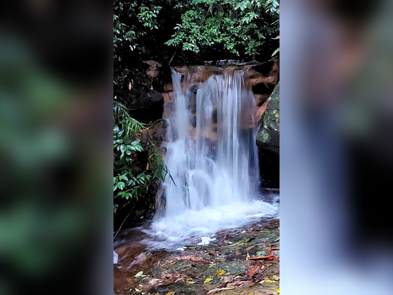 Sítio à venda Fazenda Inglesa com 170m² e 5 quartos por R$ 1.950.000 - 1000400754.jpg