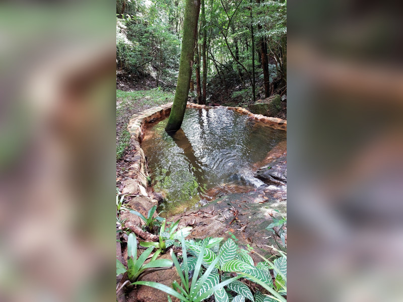 Sítio à venda Fazenda Inglesa com 170m² e 5 quartos por R$ 1.950.000 - 1000400755.jpg