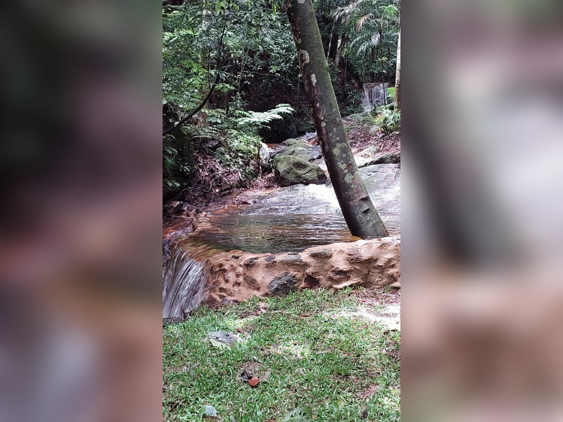 Sítio à venda Fazenda Inglesa com 170m² e 5 quartos por R$ 1.950.000 - 1000400792.jpg