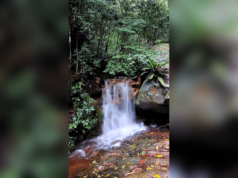 Sítio à venda Fazenda Inglesa com 170m² e 5 quartos por R$ 1.950.000 - 1000400795.jpg