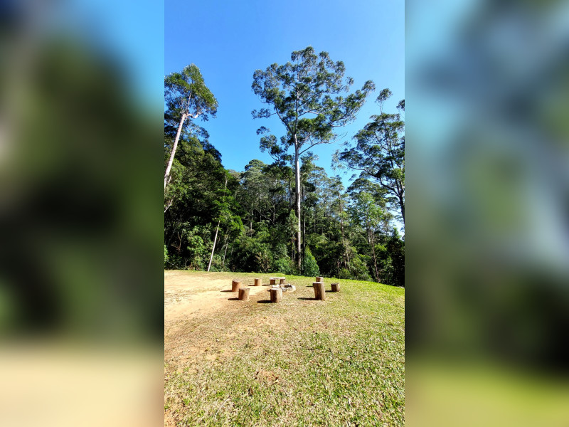 Sítio à venda Fazenda Inglesa com 170m² e 5 quartos por R$ 1.950.000 - 1000471919.jpg