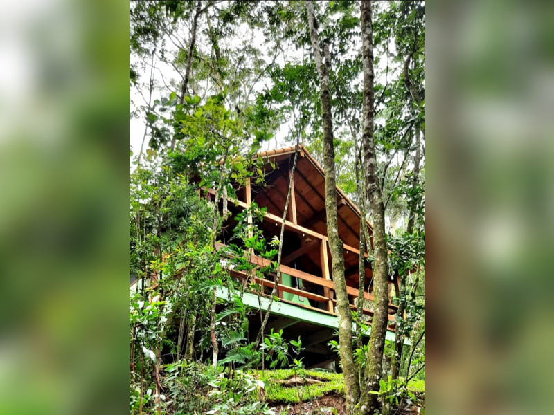 Sítio à venda Fazenda Inglesa com 170m² e 5 quartos por R$ 1.950.000 - 1000471921.jpg