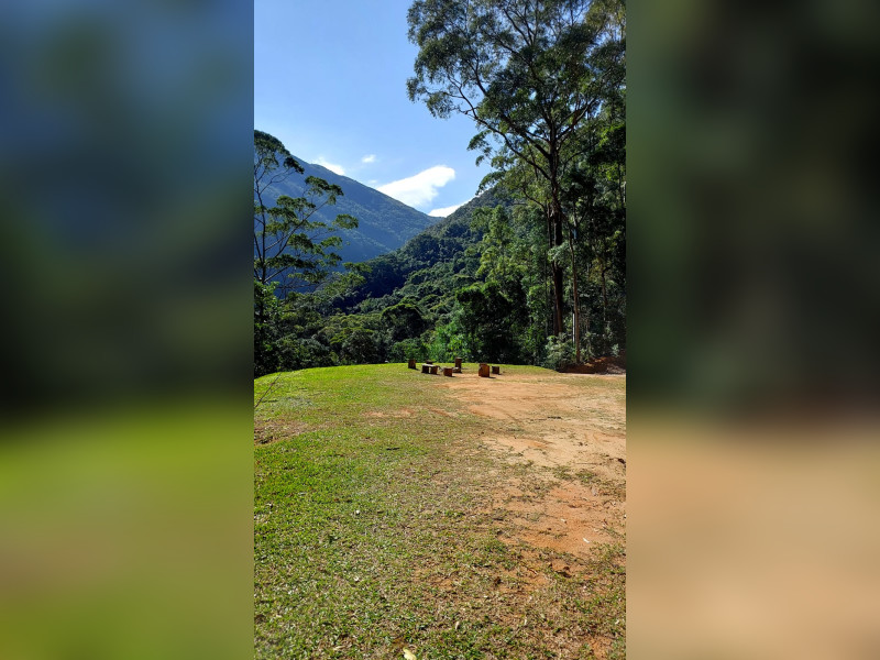 Sítio à venda Fazenda Inglesa com 170m² e 5 quartos por R$ 1.950.000 - 1000471922.jpg