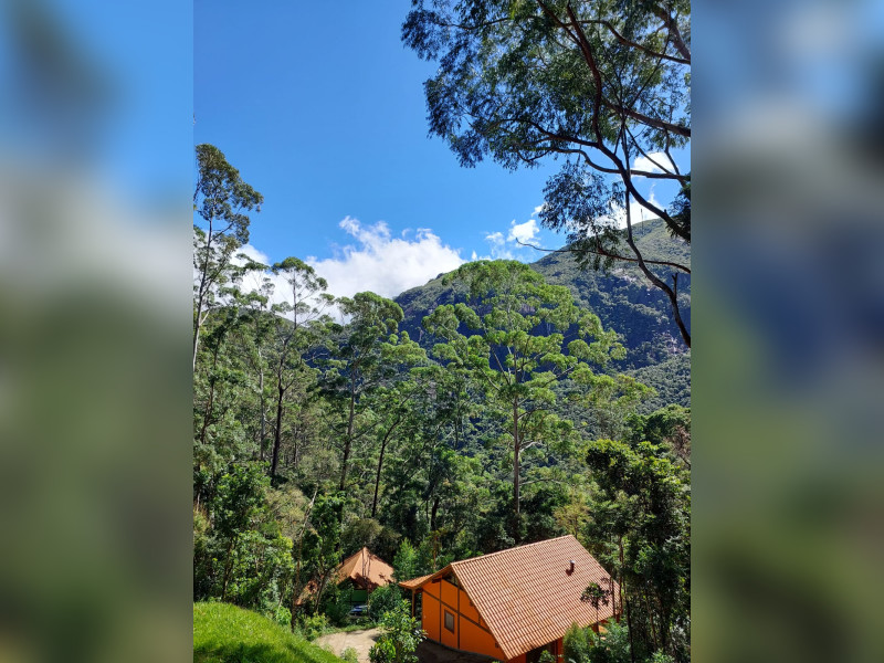 Sítio à venda Fazenda Inglesa com 170m² e 5 quartos por R$ 1.950.000 - 1000471924.jpg