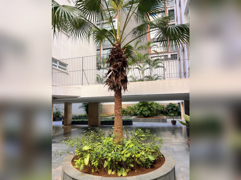 Apartamento à venda Jardim Paulista com 100m² e 2 quartos por R$ 992.000 - df77fc42-be99-45de-a63a-06c1b381f1ea-1-all-41263.jpg