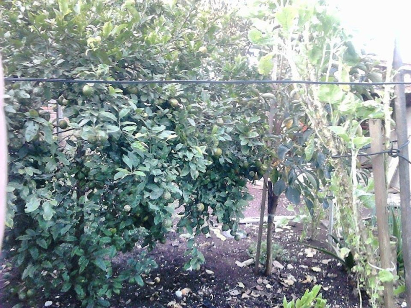 Casa à venda Weissópolis com 260m² e 4 quartos por R$ 1.000.000 - img-20250816-wa0012.jpg