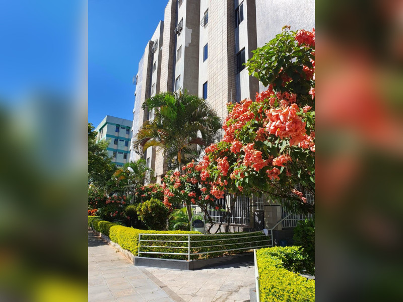 Apartamento à venda Guará II com 64m² e 2 quartos por R$ 550.000 - img-20260205-wa0044.jpg