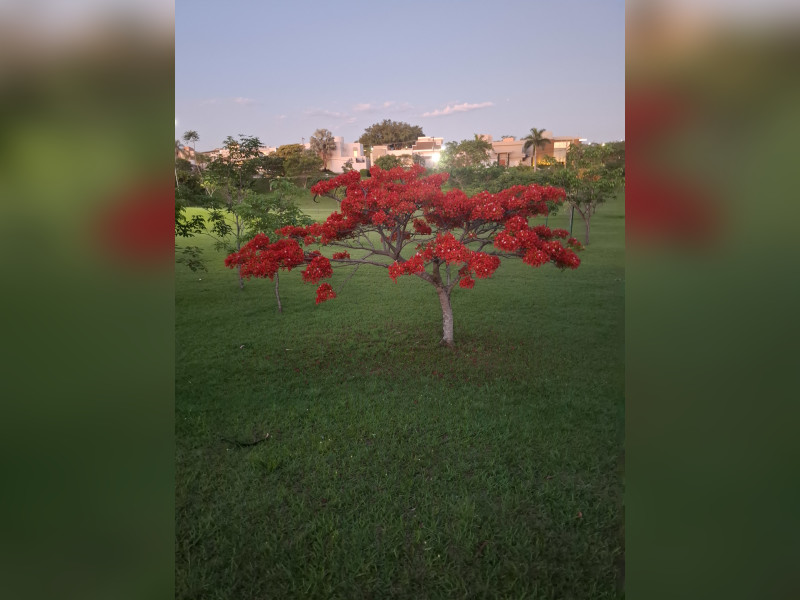 Casa de condomínio à venda Parque Residencial Damha II com 347m² e 4 quartos por R$ 2.600.000 - 20241030-185415.jpg