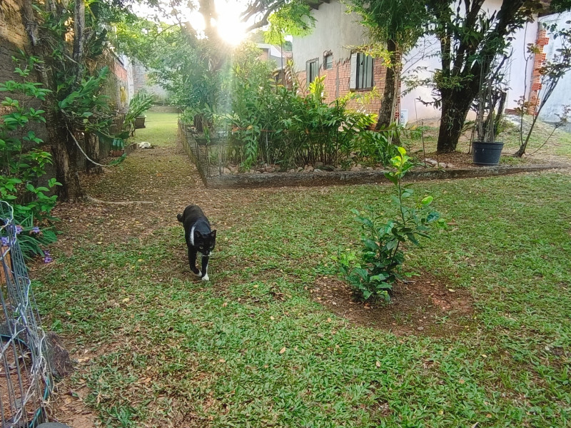 Terreno à venda Velha com 450m² e 0 quartos por R$ 600.000 - img-20260122-183019.jpg