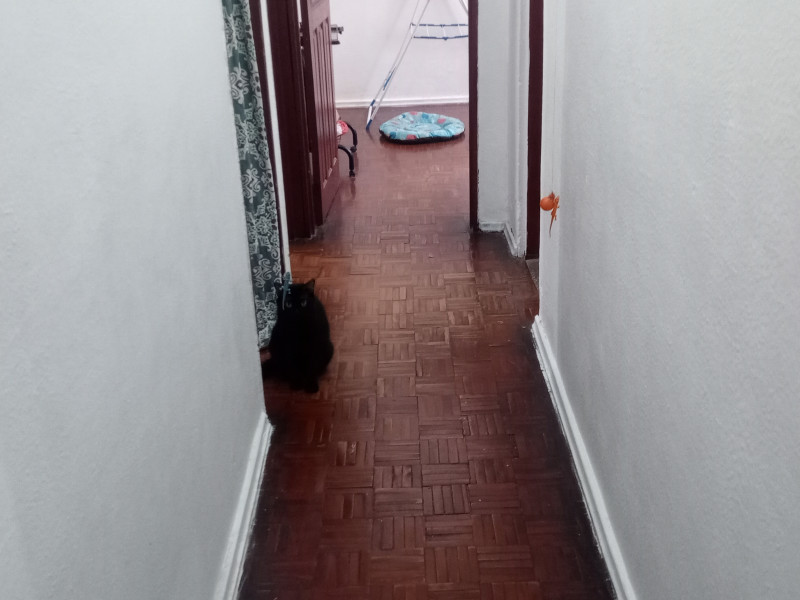 Apartamento à venda Raiz com 65m² e 3 quartos por R$ 170.000 - img-20260321-132429-315.jpg