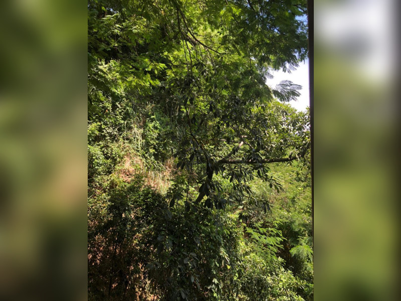 Apartamento à venda Laranjeiras com 90m² e 3 quartos por R$ 950.000 - img-1206.jpeg