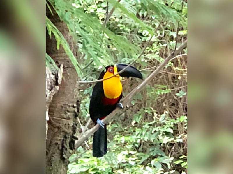 Apartamento à venda Laranjeiras com 90m² e 3 quartos por R$ 950.000 - img-1212.jpeg