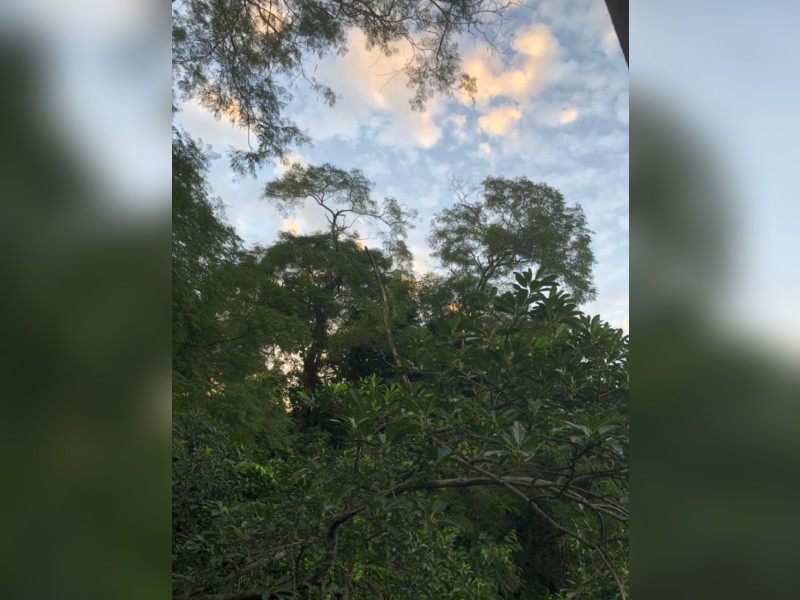 Apartamento à venda Laranjeiras com 90m² e 3 quartos por R$ 950.000 - img-1222.jpeg