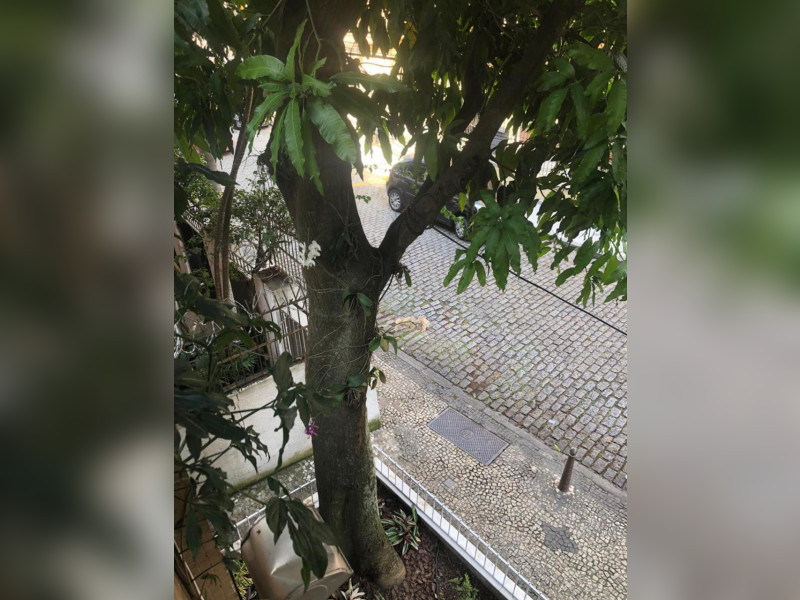 Apartamento à venda Laranjeiras com 90m² e 3 quartos por R$ 950.000 - img-1223.jpeg