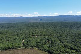dji-fly-20260516-130932-564-1778947881239-photo-optimized-original.jpeg