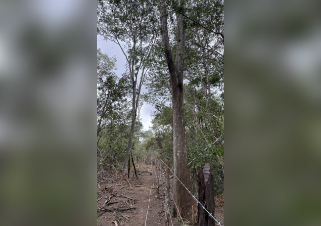 imóvel com 10000m²