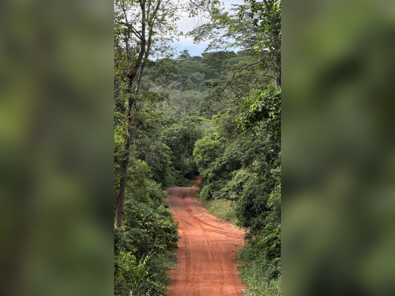 imóvel com 10000m² - Centro - Lencois