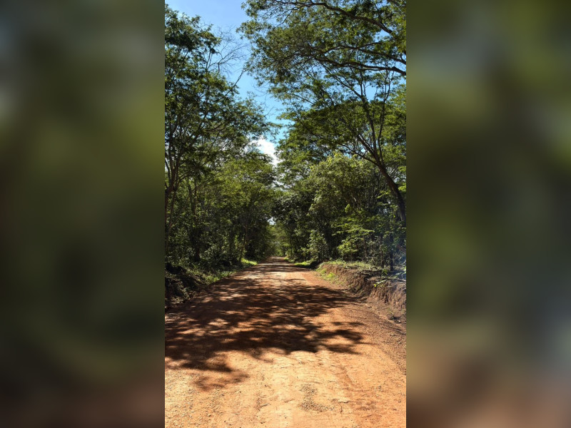 imóvel com 10000m² - Centro - Lencois