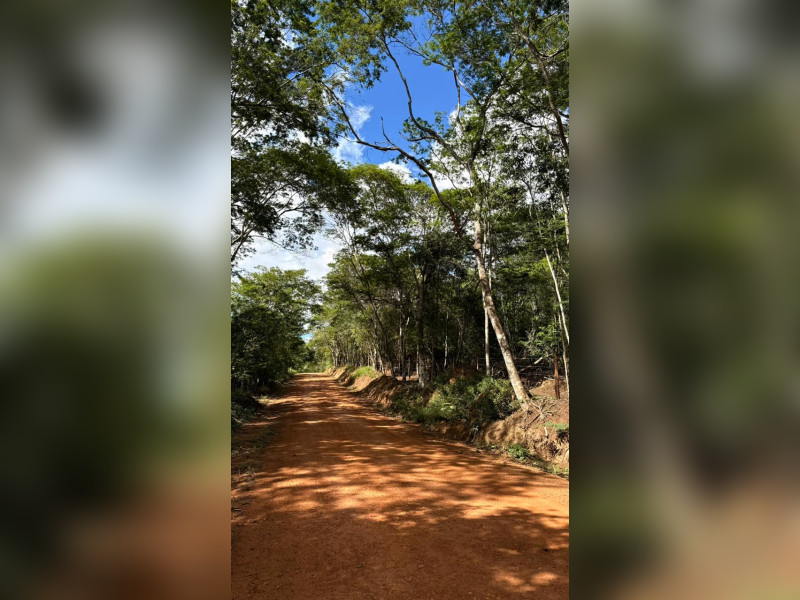 imóvel com 10000m² - Centro - Lencois
