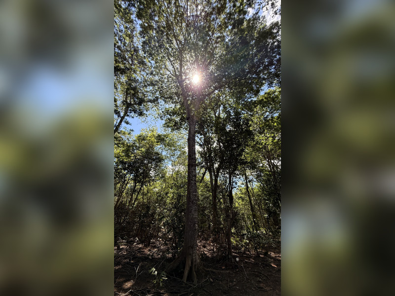 imóvel com 10000m² - Centro - Lencois