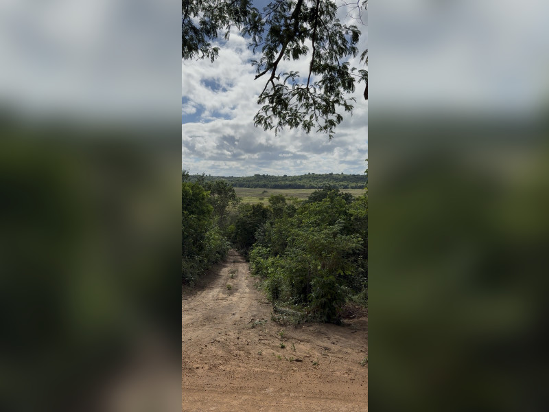 imóvel com 10000m² - Centro - Lencois