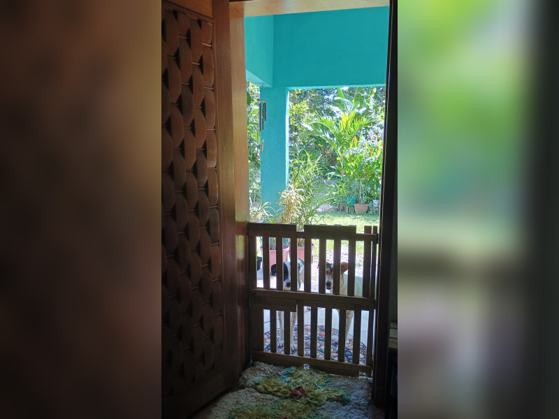 Casa à venda Campo Lindo com 3000m² e 3 quartos por R$ 300.000 - img-20260413-131610179-hdr.jpg