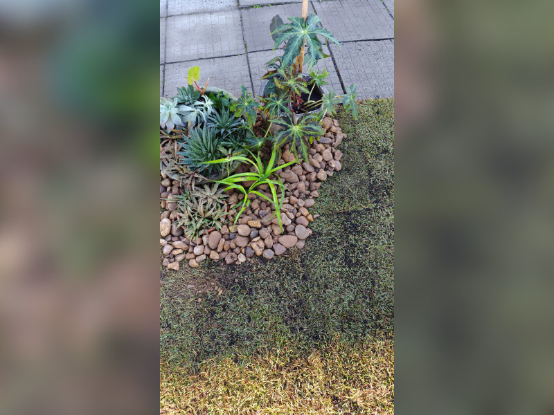 imóvel com 130m² - Walderez - Sapucaia do Sul