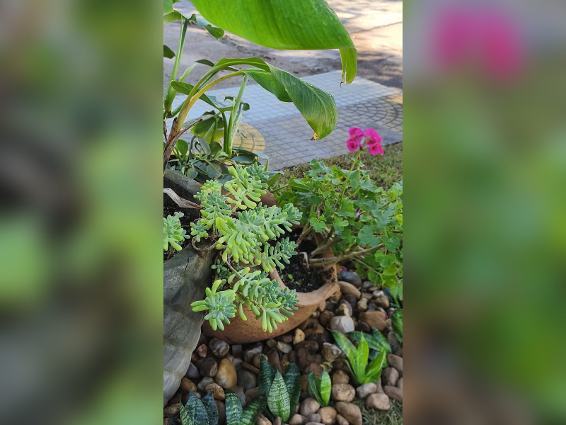 imóvel com 130m² - Walderez - Sapucaia do Sul