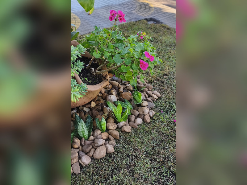 imóvel com 130m² - Walderez - Sapucaia do Sul