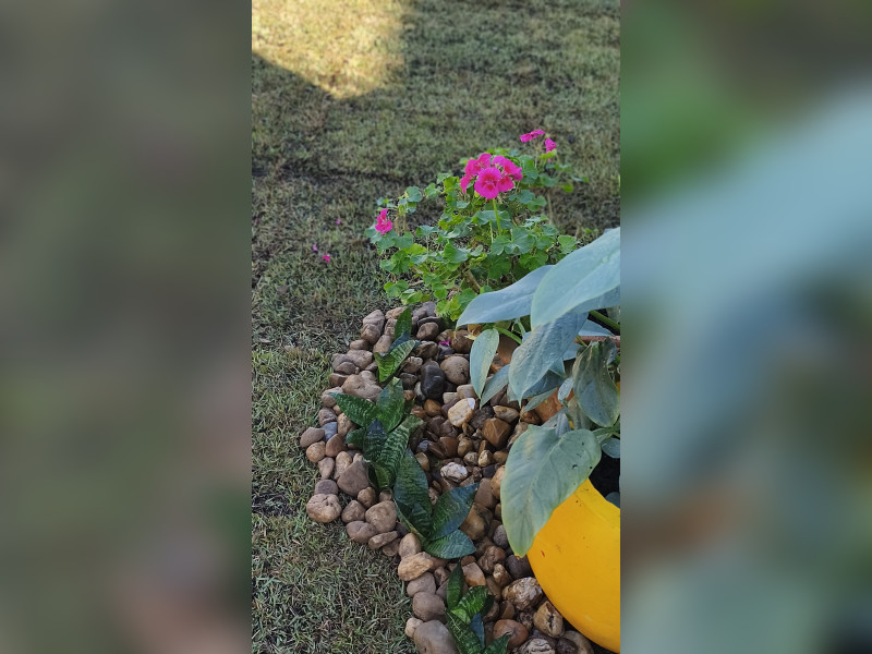 imóvel com 130m² - Walderez - Sapucaia do Sul