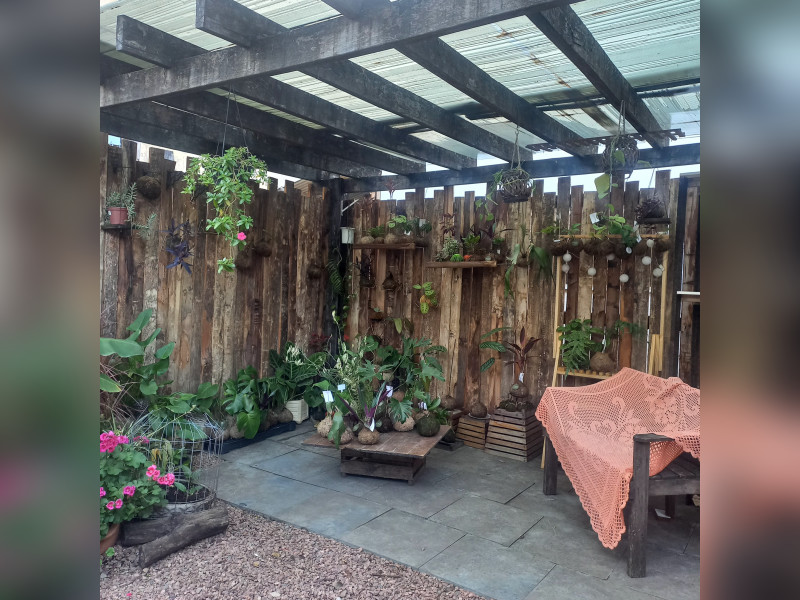 Casa à venda Walderez com 80m² e 5 quartos por R$ 350.000 - 8f914630-b345-41f1-97ca-f21efaca3ff0-1-all-3376.jpg