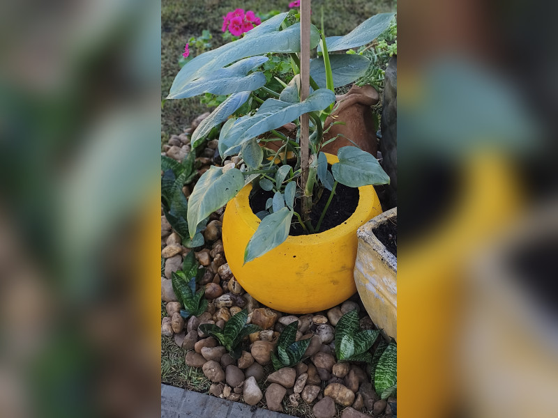 imóvel com 130m² - Walderez - Sapucaia do Sul