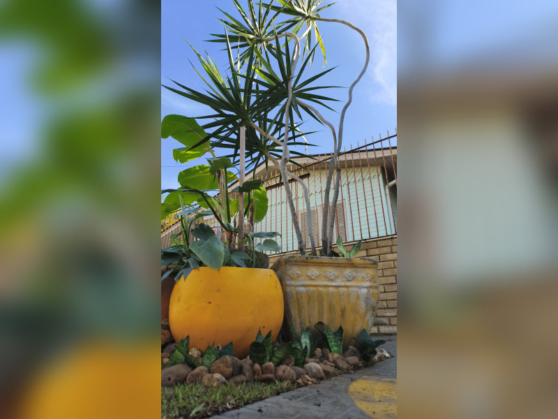 imóvel com 130m² - Walderez - Sapucaia do Sul