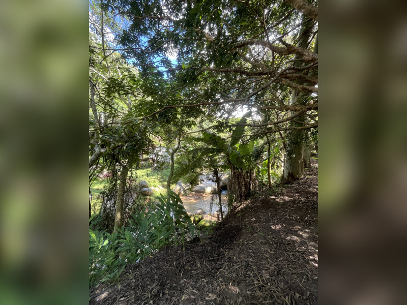 Sítio à venda Vieira com 120000m² e 5 quartos por R$ 1.100.000 - 037rio.jpg