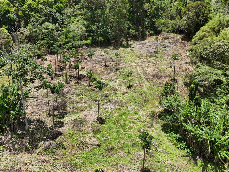 Sítio à venda Vieira com 120000m² e 5 quartos por R$ 1.100.000 - vista-aerea012.jpeg