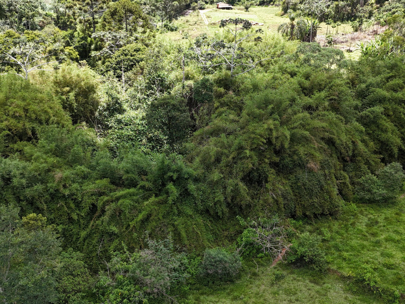 Sítio à venda Vieira com 120000m² e 5 quartos por R$ 1.100.000 - vista-aerea018.jpeg