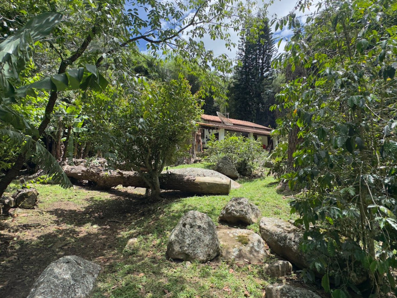 Sítio à venda Vieira com 120000m² e 5 quartos por R$ 1.100.000 - vista-aerea035.jpeg