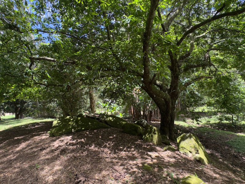 Sítio à venda Vieira com 120000m² e 5 quartos por R$ 1.100.000 - vista-aerea036.jpeg