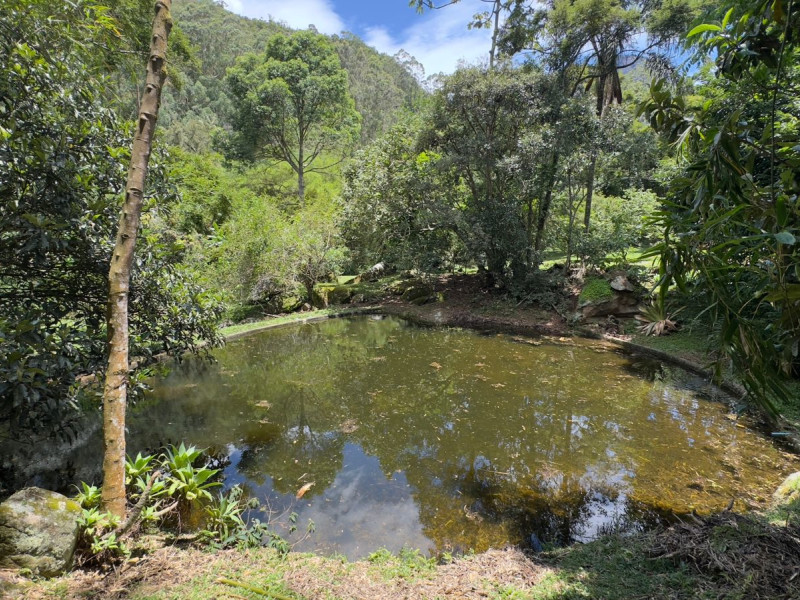 Sítio à venda Vieira com 120000m² e 5 quartos por R$ 1.100.000 - vista-aerea052.jpeg