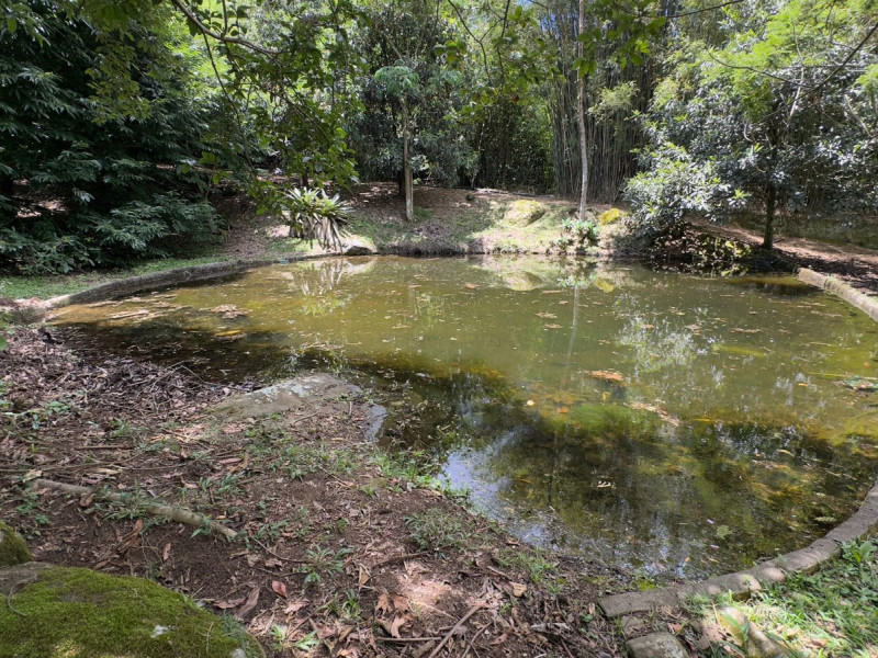 Sítio à venda Vieira com 120000m² e 5 quartos por R$ 1.100.000 - vista-aerea054.jpeg