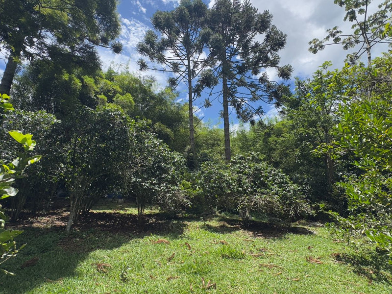 Sítio à venda Vieira com 120000m² e 5 quartos por R$ 1.100.000 - vista-aerea055.jpeg