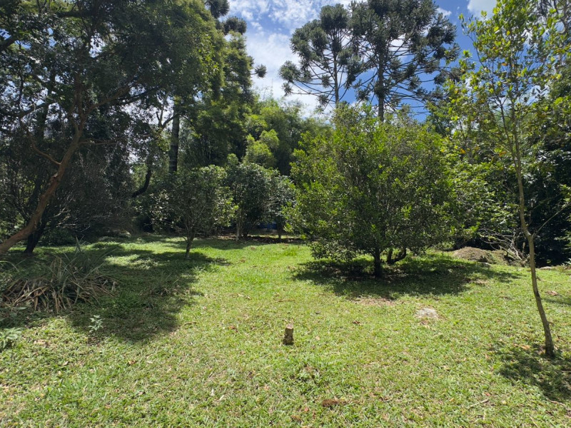 Sítio à venda Vieira com 120000m² e 5 quartos por R$ 1.100.000 - vista-aerea056.jpeg