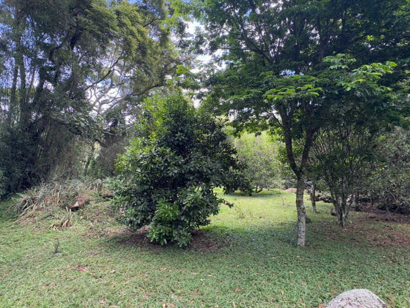 Sítio à venda Vieira com 120000m² e 5 quartos por R$ 1.100.000 - vista-aerea060.jpeg