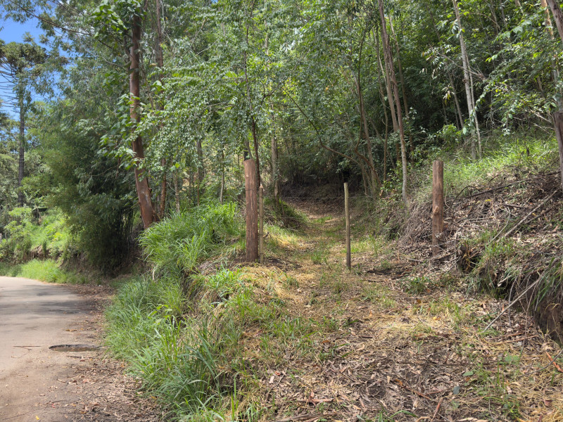 Sítio à venda Vieira com 120000m² e 5 quartos por R$ 1.100.000 - vista-aerea061.jpeg