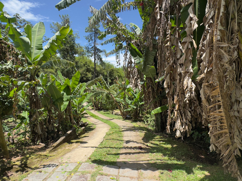 Sítio à venda Vieira com 120000m² e 5 quartos por R$ 1.100.000 - vista-aerea068.jpeg