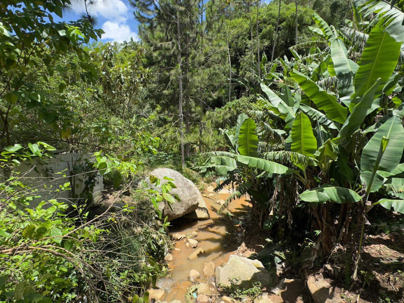 Sítio à venda Vieira com 120000m² e 5 quartos por R$ 1.100.000 - vista-aerea071.jpeg